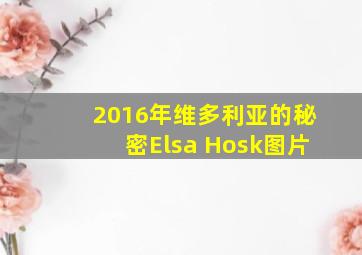 2016年维多利亚的秘密Elsa Hosk图片